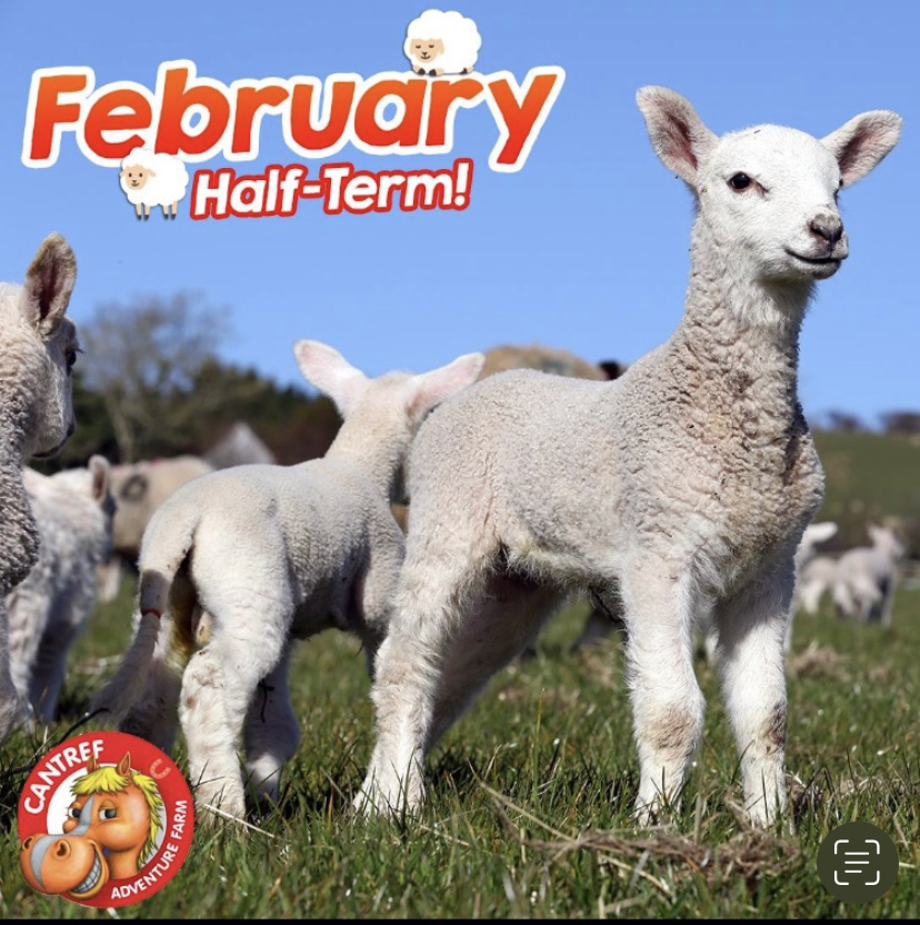 February Half Term - Lambing Festival