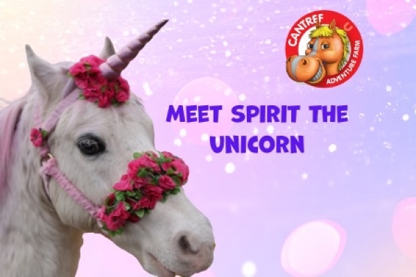 Meet Spirit the Unicorn - Cantref Adventure Farm Brecon