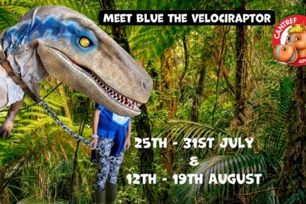 Meet Blue the Dinosaur at Cantref Adventure Farm Brecon