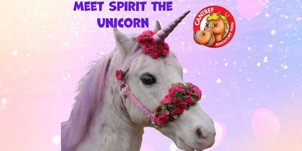 Come and meet Spirit the Unicorn at Cantref