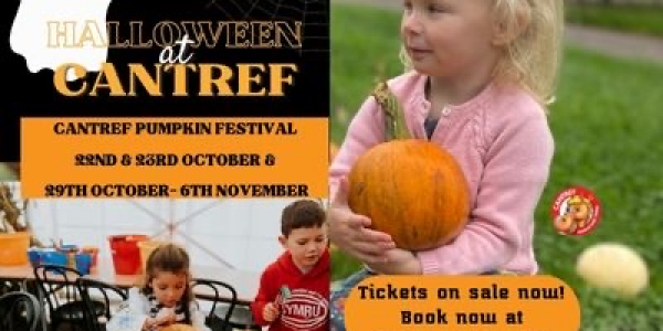 Pumpkin Festival - Cantref Adventure Farm Brecon