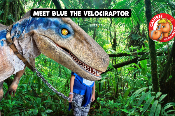 Last chance to meet Blue the Dinosaur in 2022