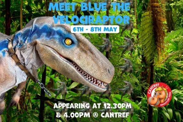 Meet Blue the Dinosaur at Cantref this Coronation Bank Holiday Weekend