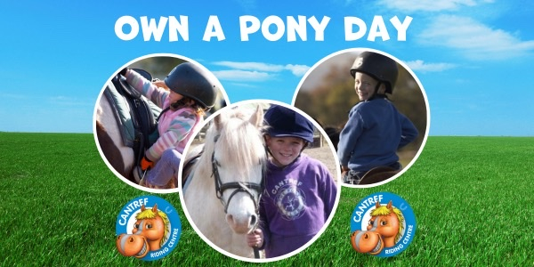 Own a Pony Day - Half Term at Cantref