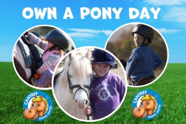 Own a Pony Day - Half Term at Cantref
