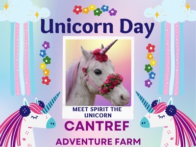 Unicorn Day at Cantref