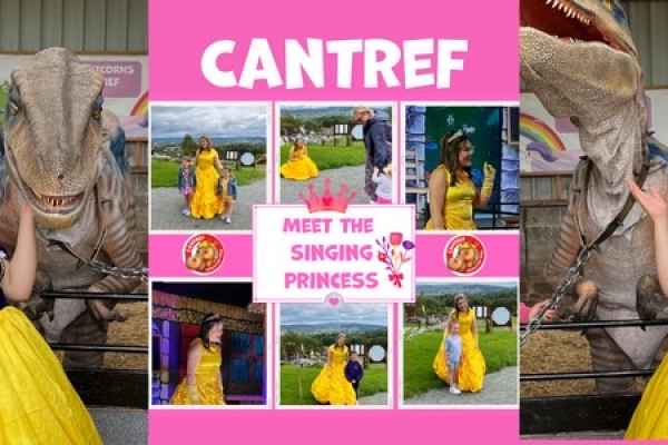 Meet the Princess this summer at Cantref