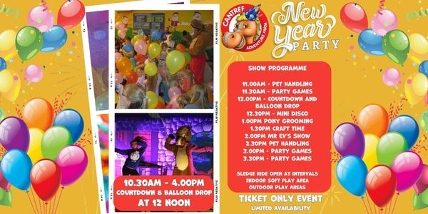 Kid's New Years Eve Party at Cantref