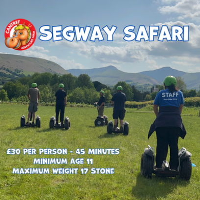 Segway Safari